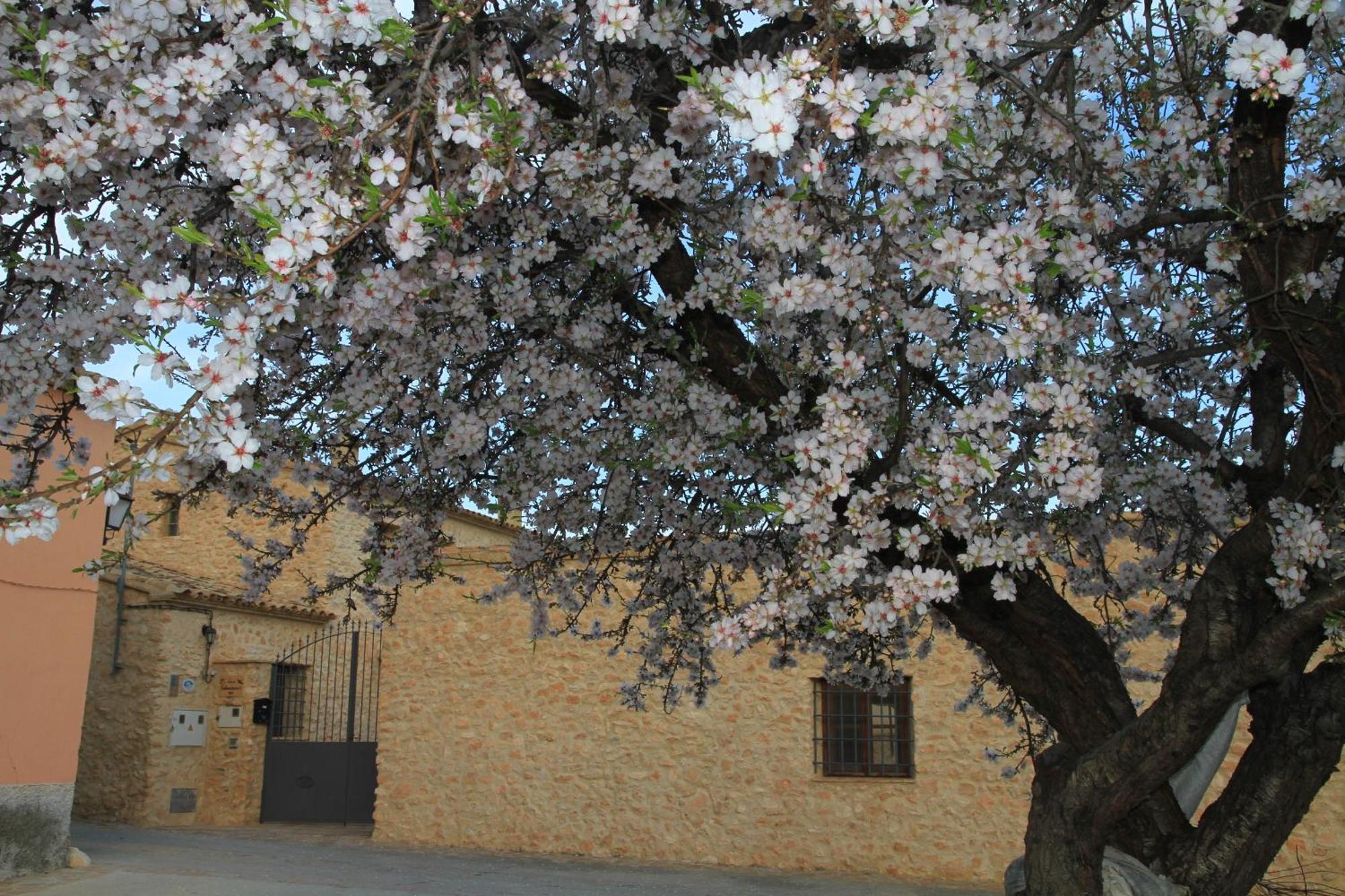 Alojamientos Rurales Cortijo Las Golondrinas 알라마 데 무르시아 외부 사진